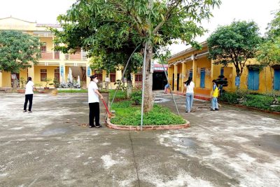 CHỦ NHẬT XANH 08