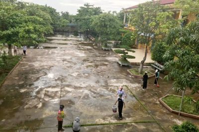 CHỦ NHẬT XANH 06